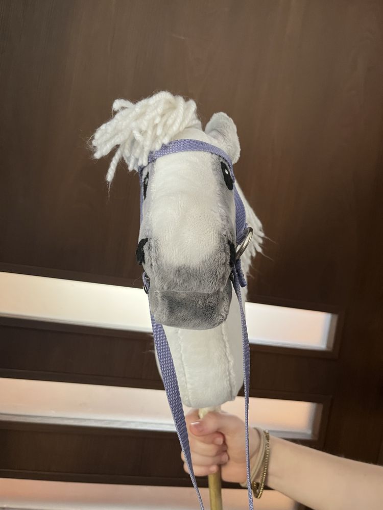 Hobby horse andaluzyjski klacz
