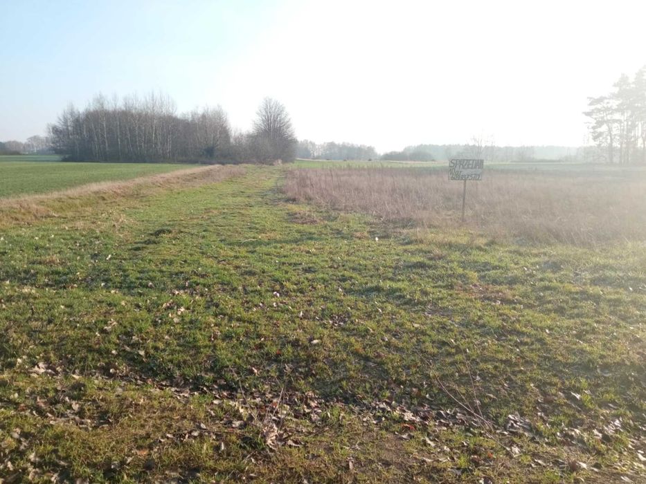 Działka z warunkami zabudowy 10 ar Trójka gm. Stare Miasto