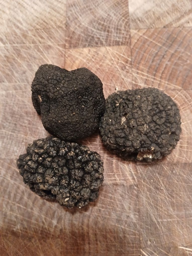 200g Letnich Trufli. - Prosto z Włoch. Tuber Aestivum.