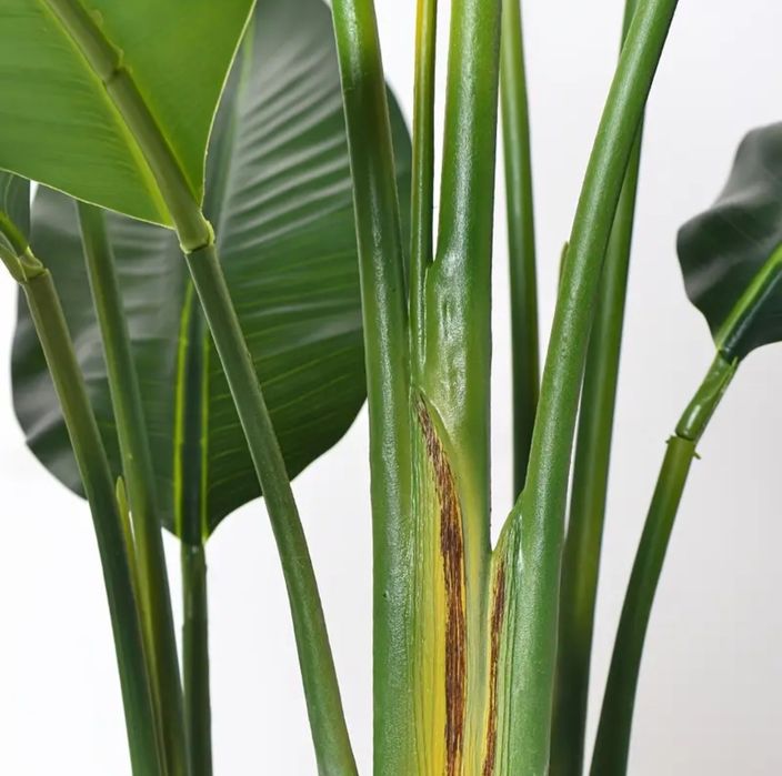 HIT Sztuczne Drzewo Bananowe Sztuczny Bananowiec Roślina Palma 180cm