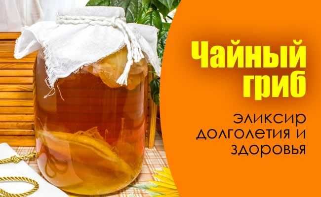 Продам чайный гриб. Каменское левый берег