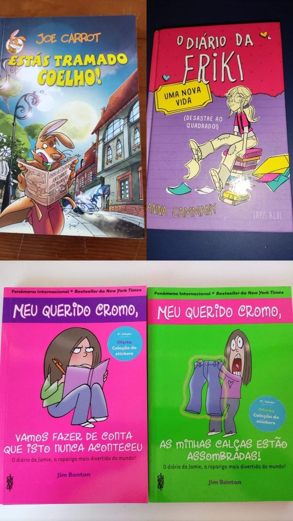 Lote de Livros Infantis e Juvenis