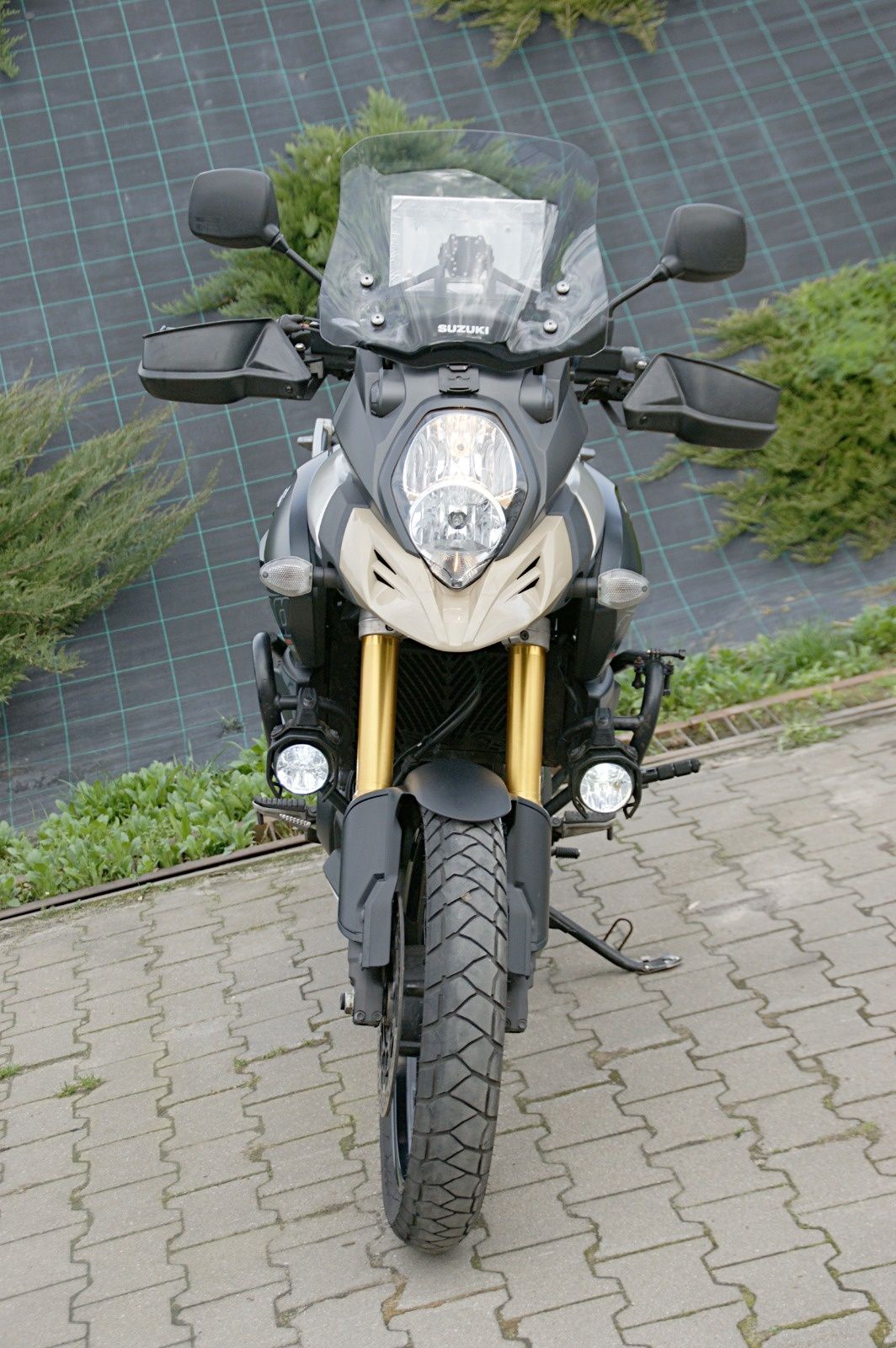 SUZUKI    DL1000