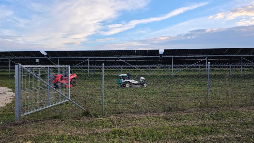 Koszenie farm fotowoltaicznych