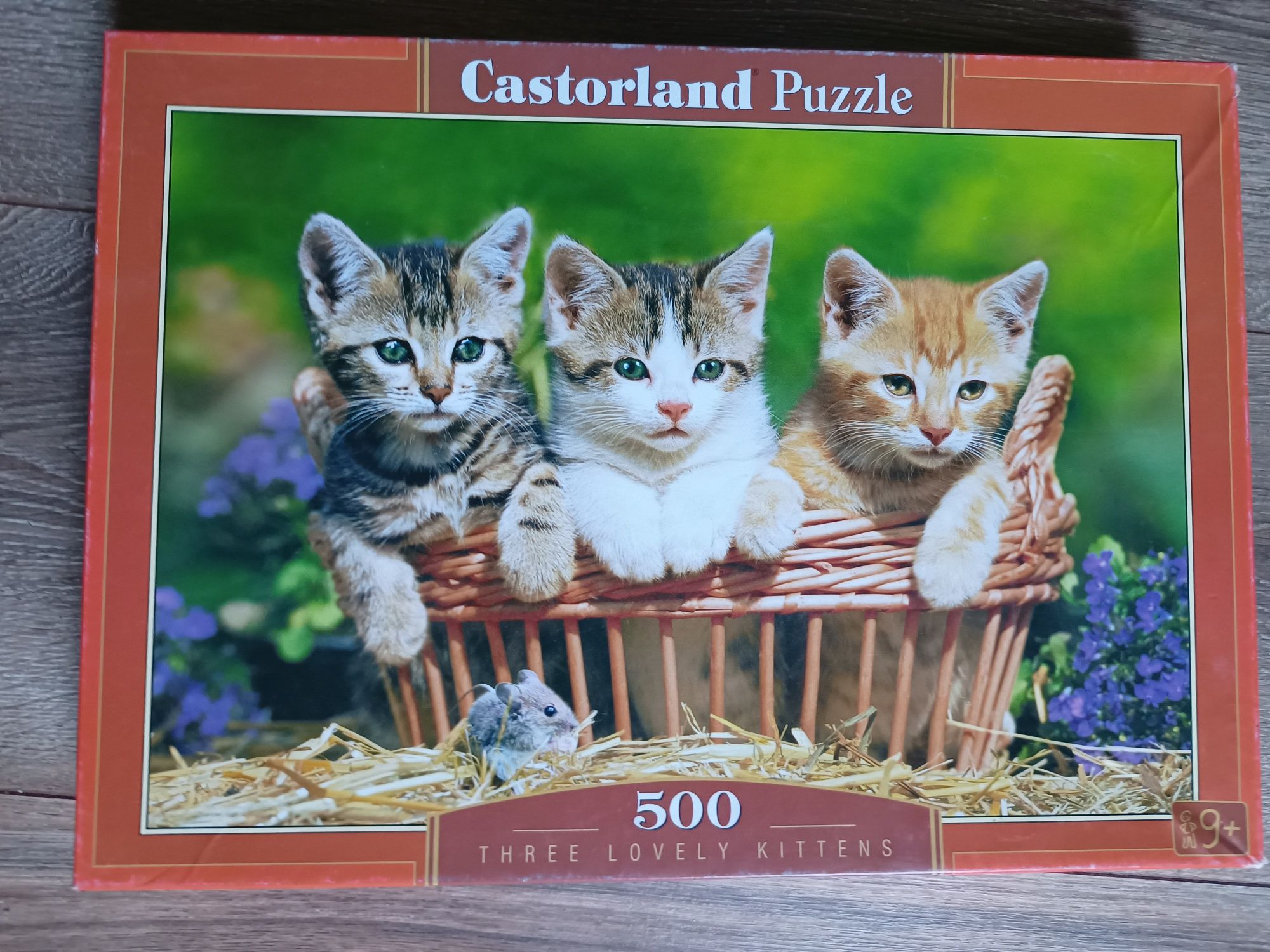 Puzzle 500 castorland