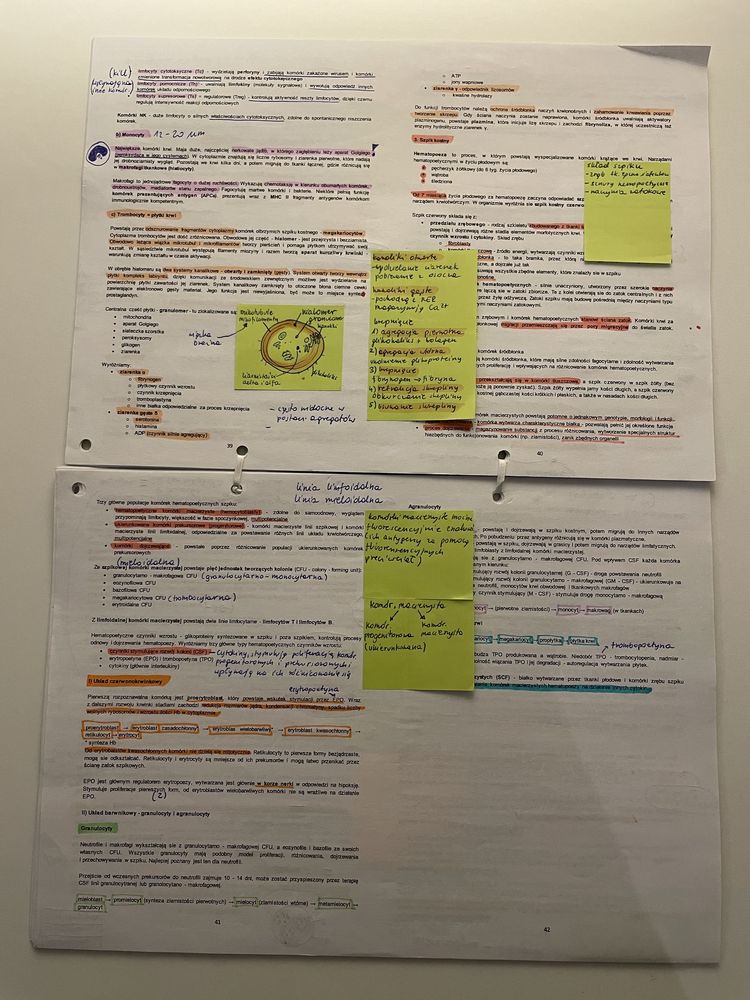 Skrypt manifest histologiczny