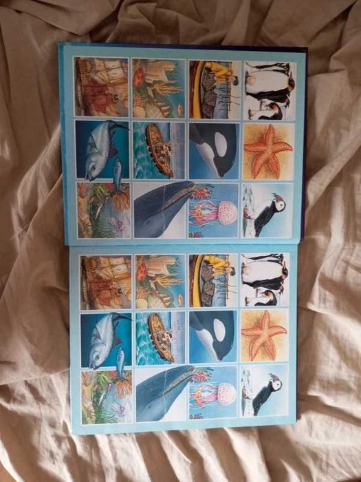 Dicionário por imagens do mar