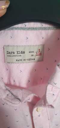 Koszula zara kids 128 cm size 8 lat pudrowy róż, bawełna 100%