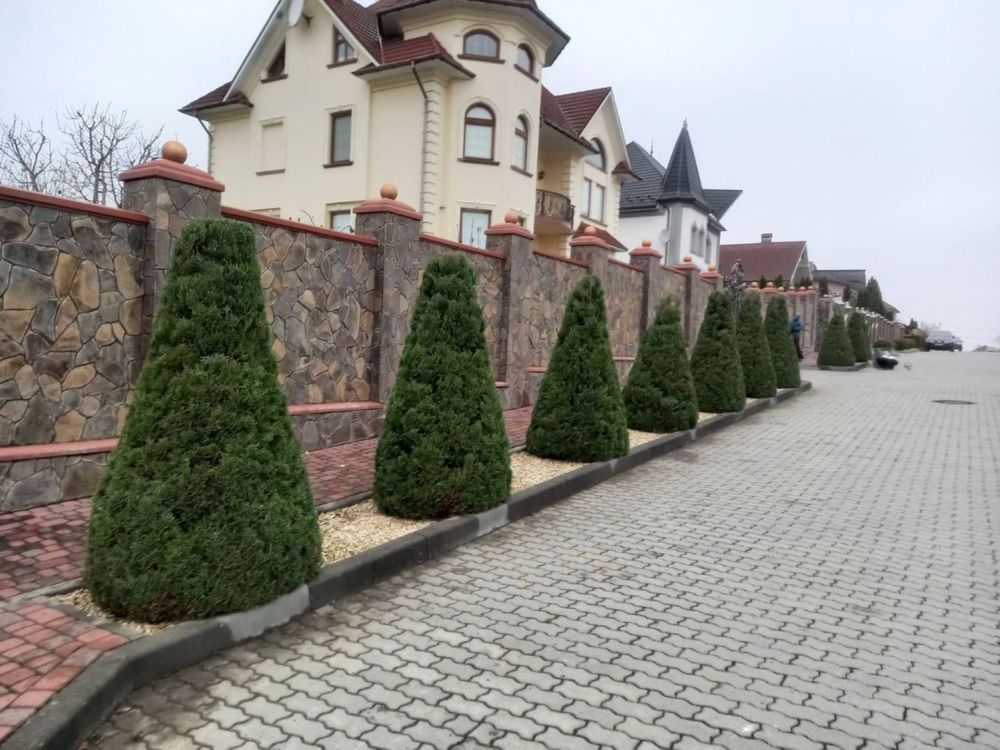 Послуги садівника, Догляд за територією, Стрижки хвойних та інше…