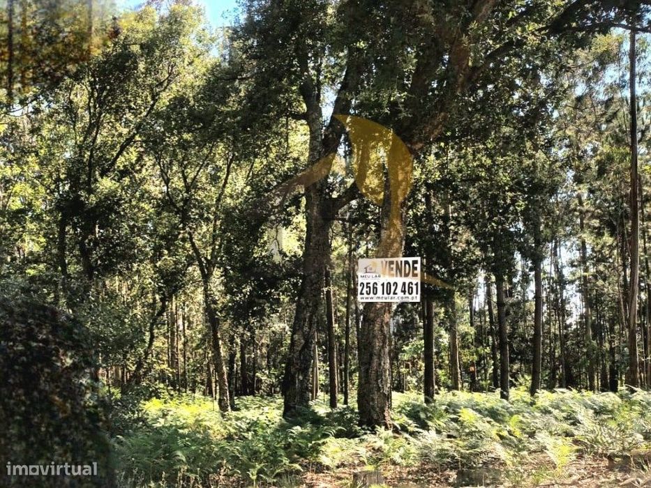 Terreno para construção — Oliveira De Azeméis, Santiago De Riba-Ul, Ul, Macinhata Da Seixa E Madail, Aveiro