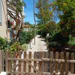 Manutenção de jardins e limpezas de terrenos