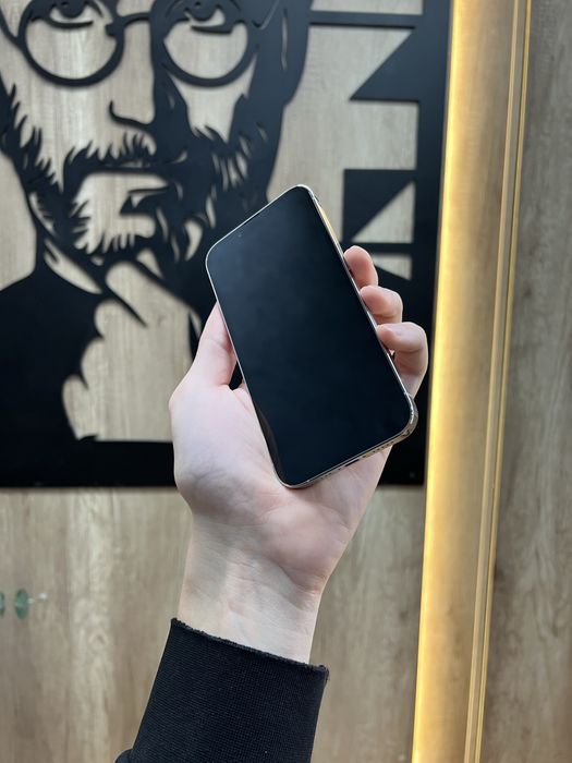 IPhone 13 Pro 128gb Silver Костюшка 5