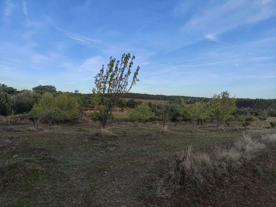 Quinta com 15 hectares