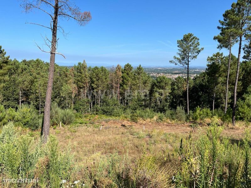 Terreno / Seia, Seia, São Romão e Lapa dos Dinheiros