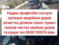 Вирізка аварійних дерев