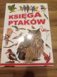 Książka Kasiega Ptaków