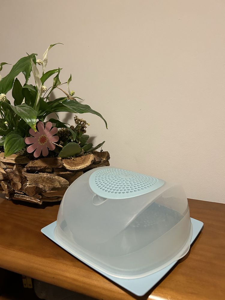 Queijeira Tupperware