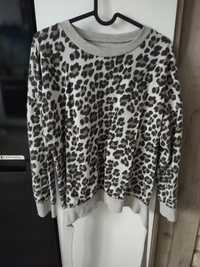 Bluza panterka M