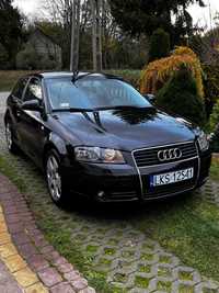 Audi A3 8P 1.9TDI