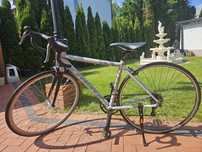 Trek lexa alpha aluminum