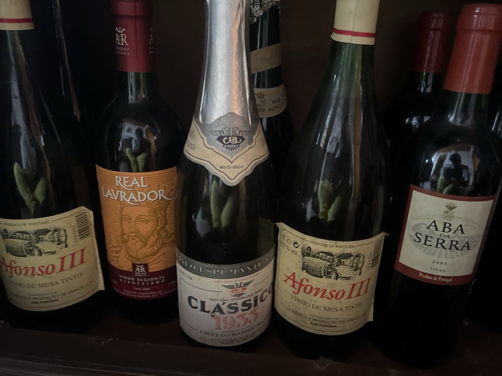Lote de vinhos e espumantes
