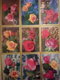 Открытки с розами 80-х