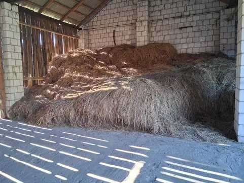 ODDAM ZA DARMO Siano i słomę !!! Lipsko