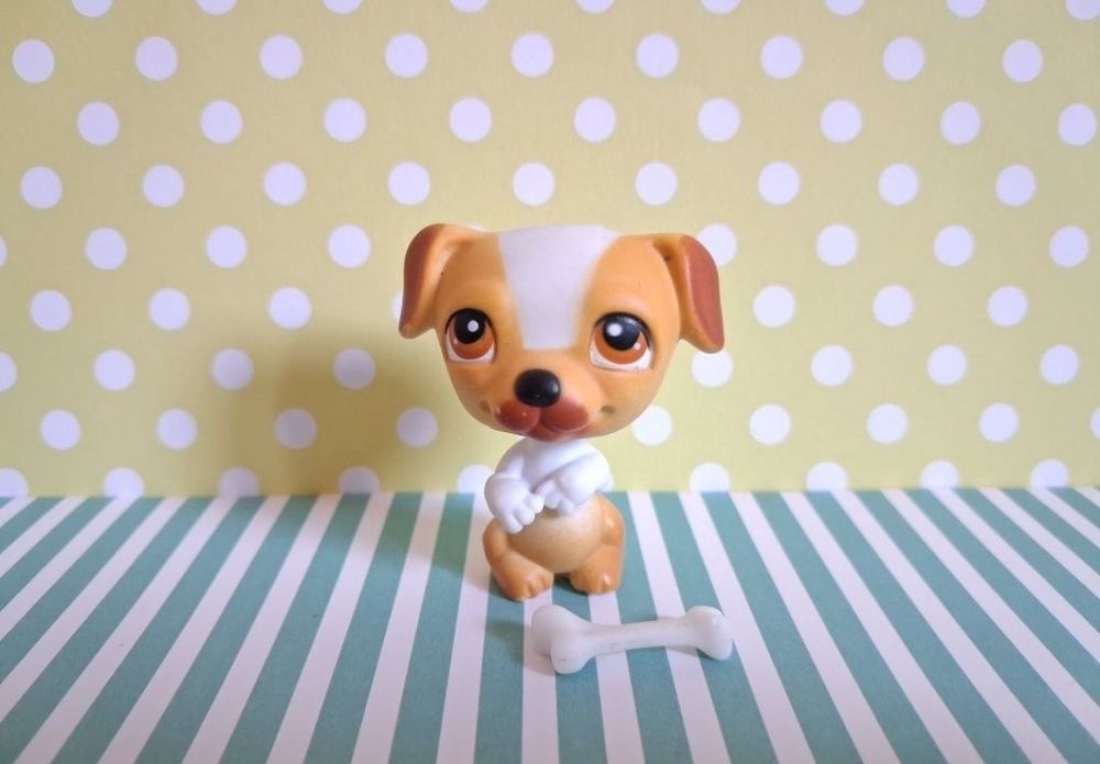 Littlest Pet Shop LPS unikatowy pies Jack Russell Terrier #40