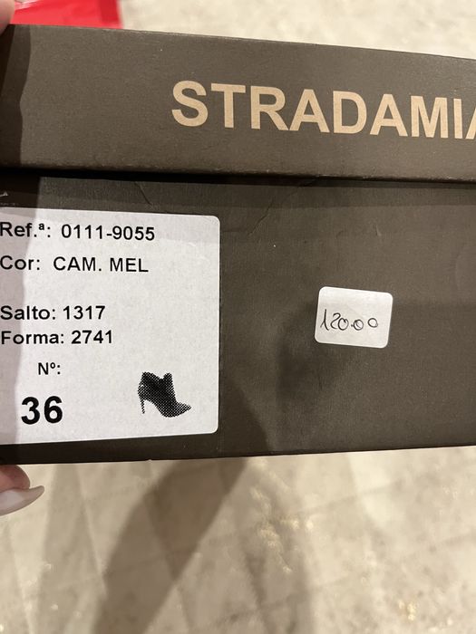 Botim Stradamia camel
