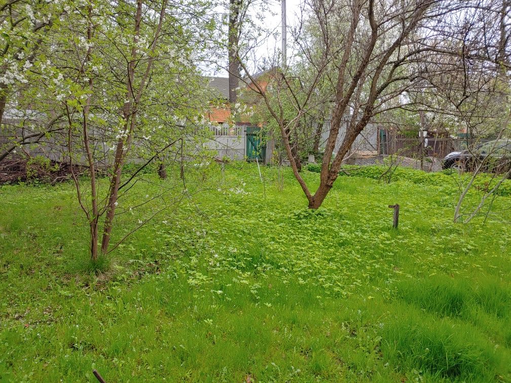 Ділянка під забудову у м. Ірпінь по вулиці Мечнікова.