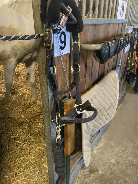 Kantar cavallo z uwiązem cob