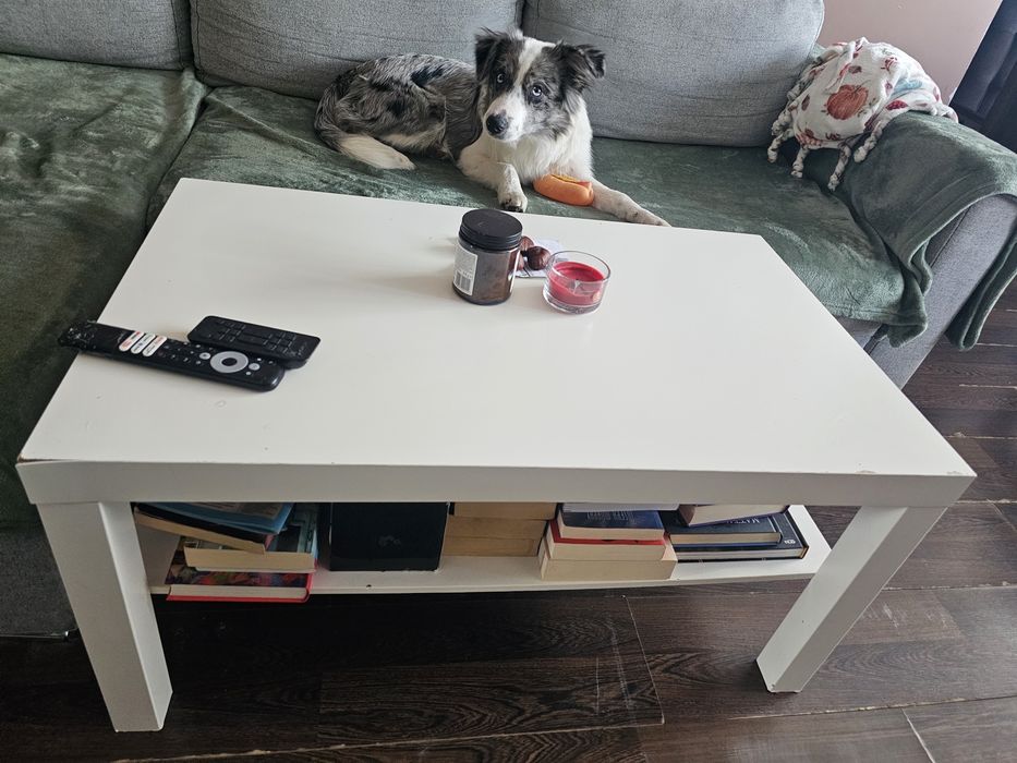 Oddam stolik za darmo