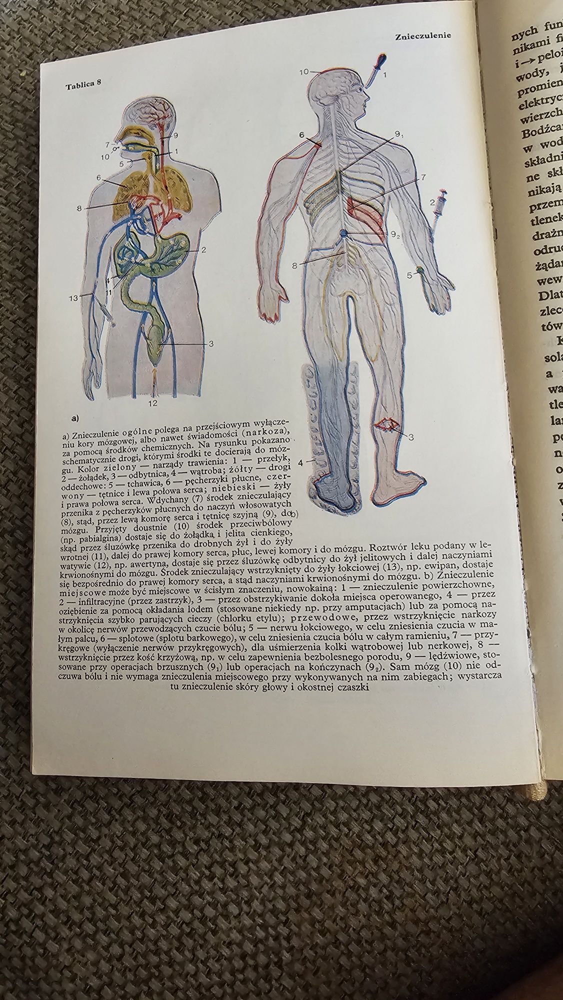 Mała encyklopedia medycyny PWN 1979