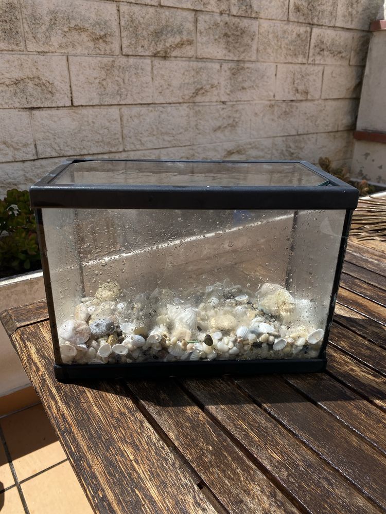 Aquario de peixes