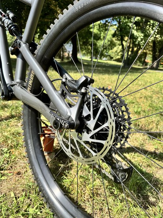 specialized status 160