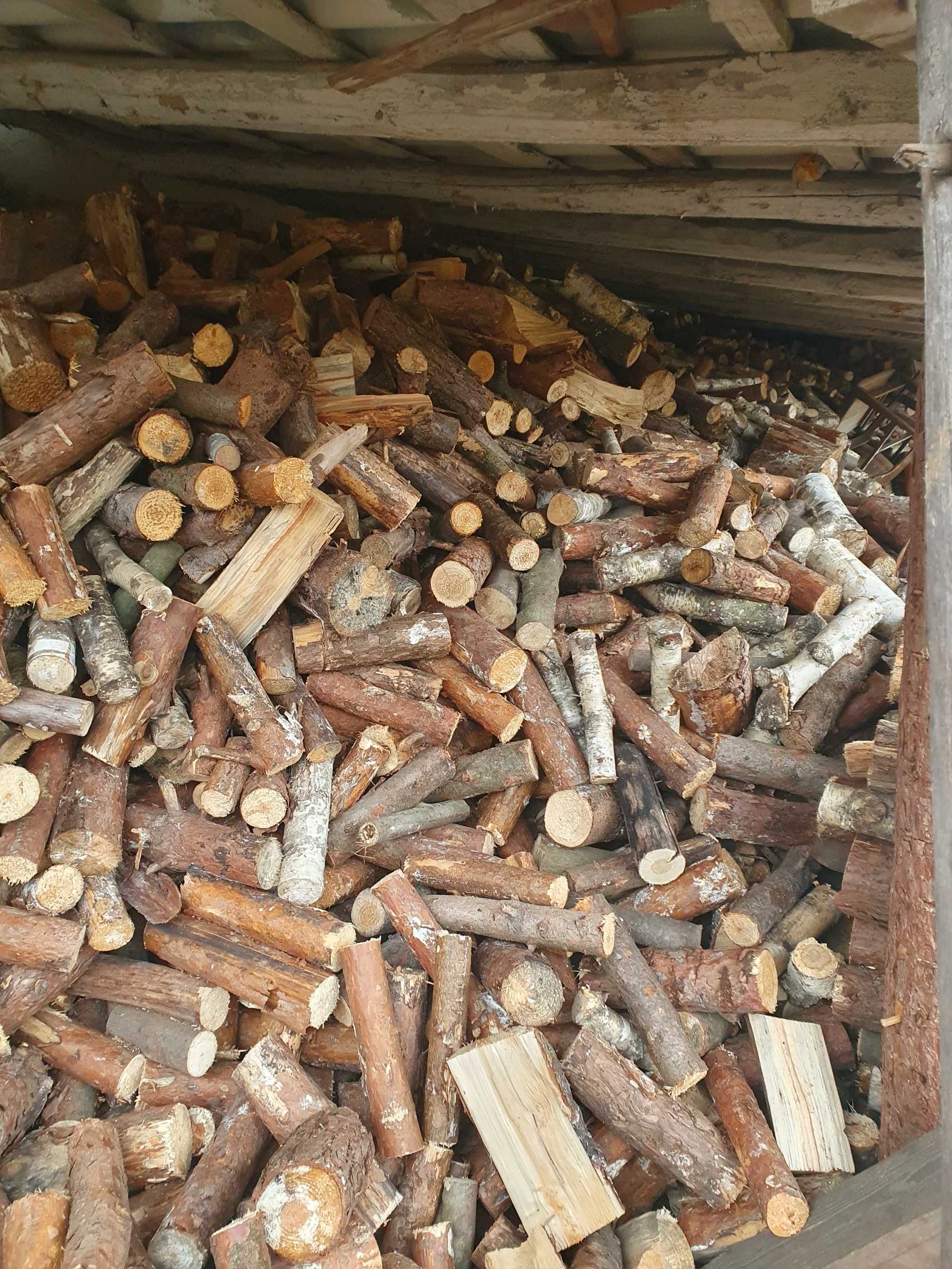 Drewno opałowe. 150zł