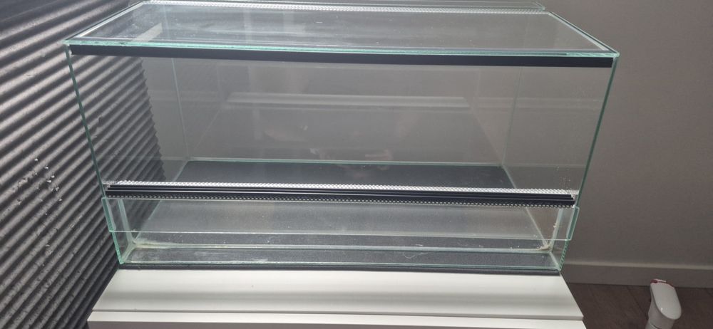 Sprzedam dwa kraby wampiry+terarium+jedzenie