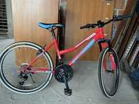 Rower Hello Bikel Lovel 18