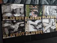 Playboy kalendarze rocznik 2008 - 2020.