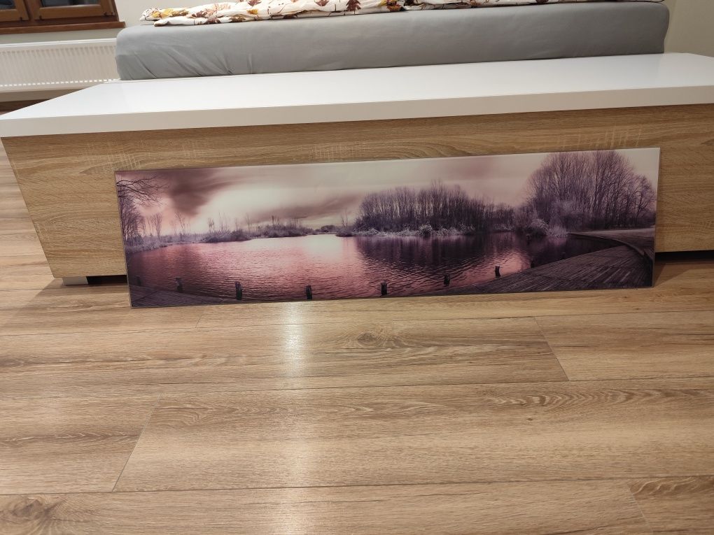 Obraz szklany duży fioletowy liliowy róż 30 x 115
