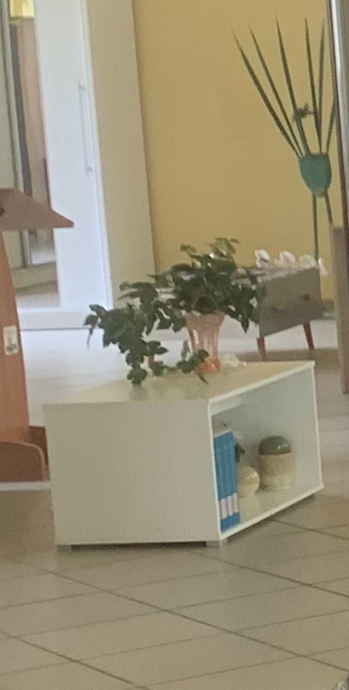 Ława biała z półką C10 nowa