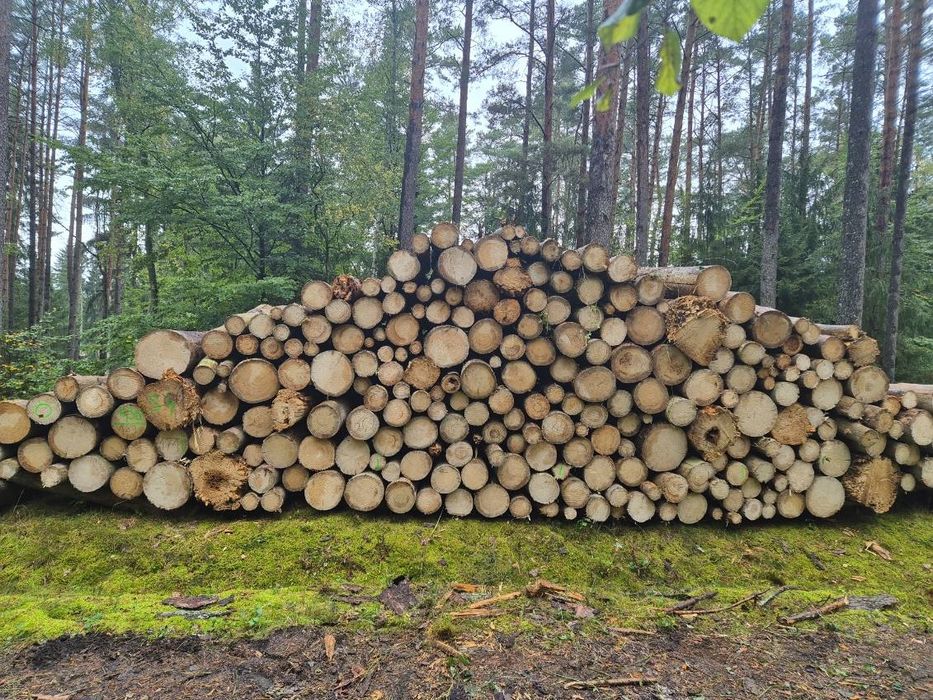 Drewno opałowe w wałkach