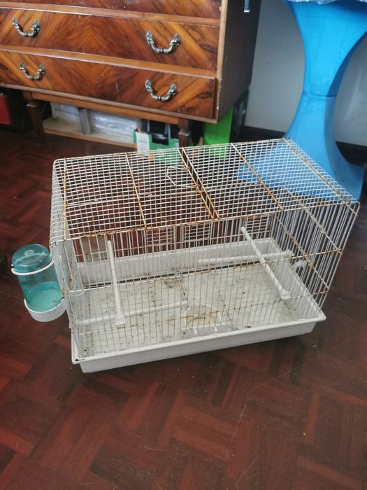 Gaiola pássaros pequenos com acessórios