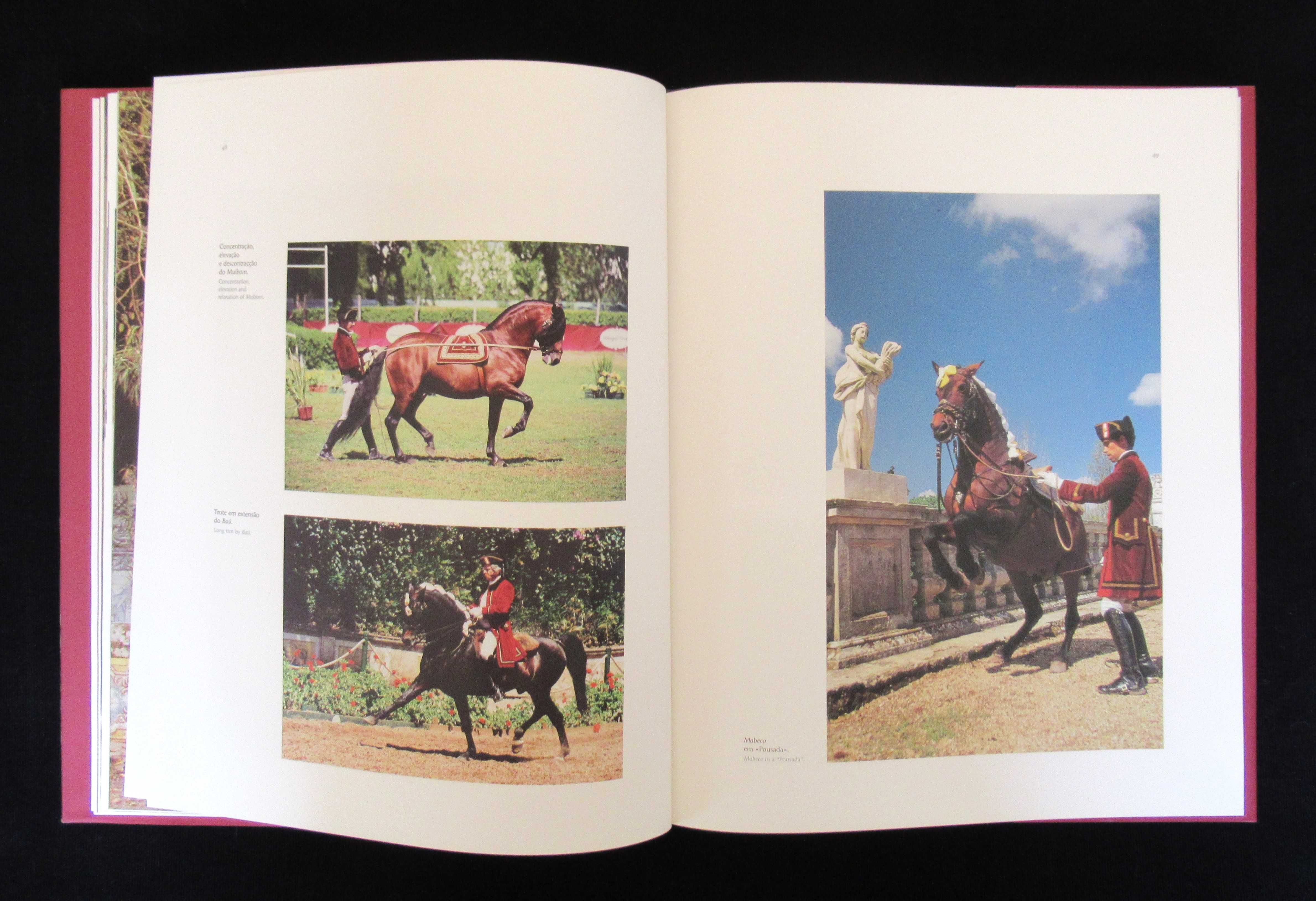 Escola Portuguesa de Arte Equestre - Livro (Ref. 36)