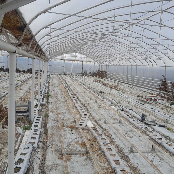 Tunel foliowy zblokowany