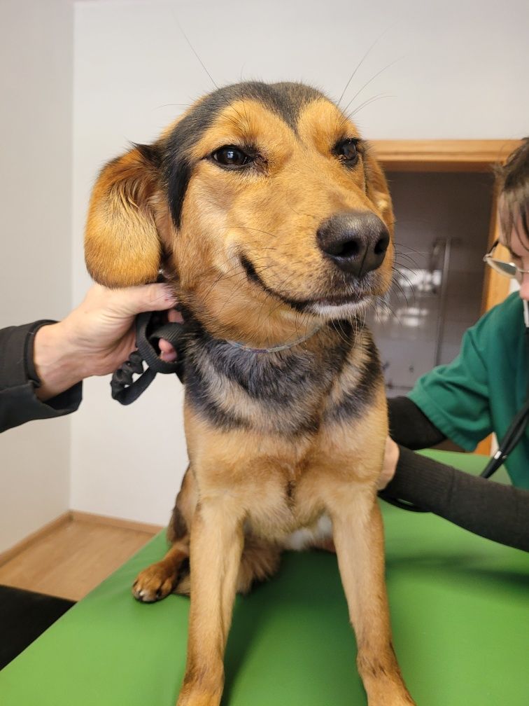 Młodziutka Saga polecam się do adopcji