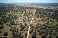 Herdade de 76, 8 ha, nos arredores de Portalegre, com projeto de turis