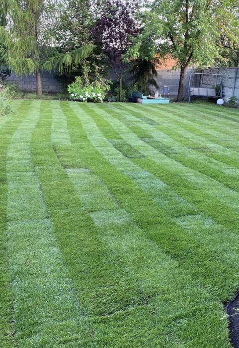 Рулонний/Посевной газон под ключ