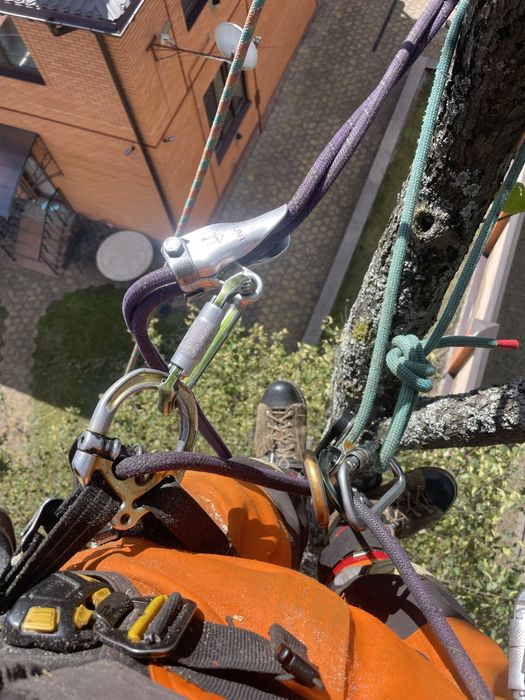 Видалення, спил дерев,кронування,покос трави, чагарників