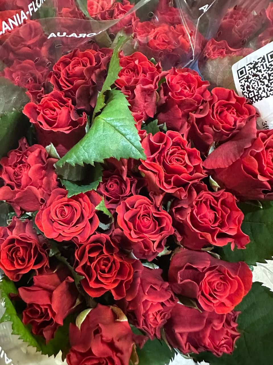 Роза опт, гур, розница, букети